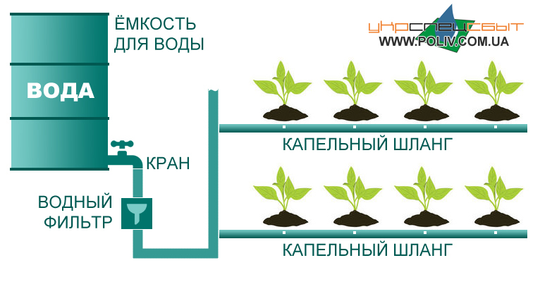 Система капельного полива Система капельного полива